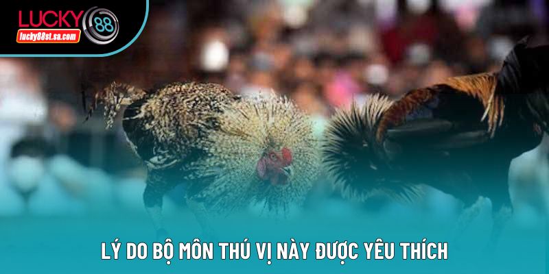 Lý do bộ môn thú vị này được yêu thích