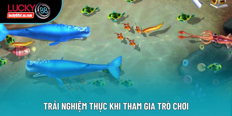 Trải nghiệm thực khi tham gia trò chơi